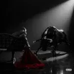 Fireboy DML – FIGHTING